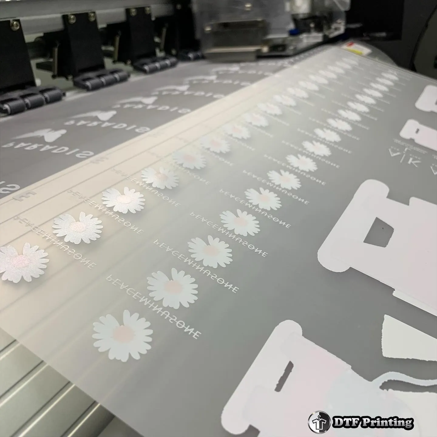 DTF Diect to Film Printing